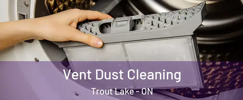 Vent Dust Cleaning Trout Lake - ON