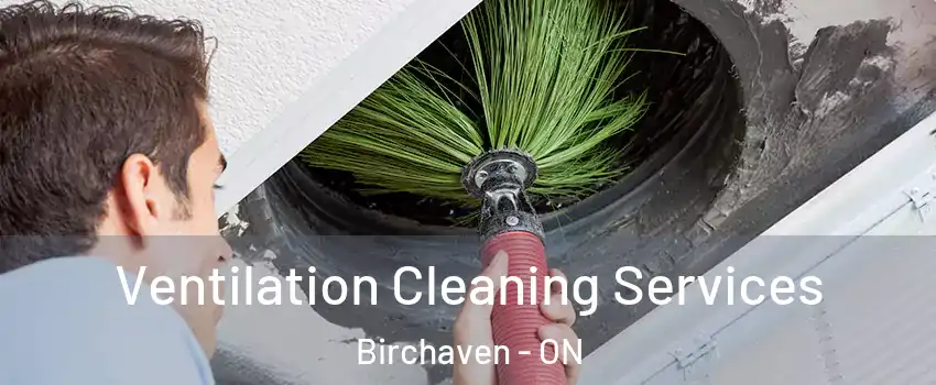  Ventilation Cleaning Services Birchaven - ON