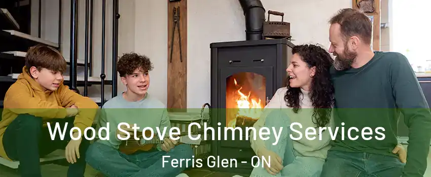  Wood Stove Chimney Services Ferris Glen - ON