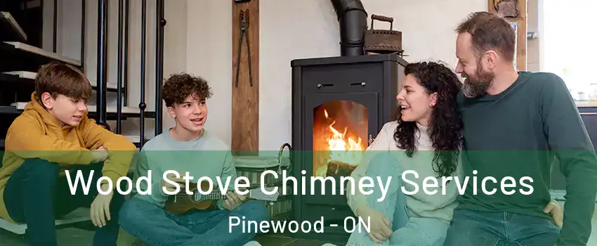  Wood Stove Chimney Services Pinewood - ON