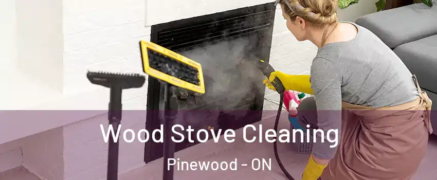  Wood Stove Cleaning Pinewood - ON