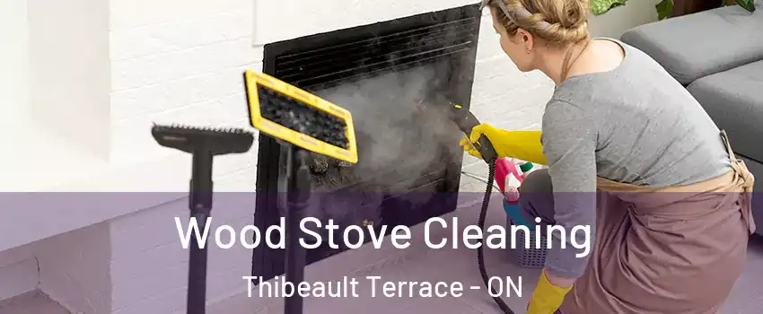  Wood Stove Cleaning Thibeault Terrace - ON