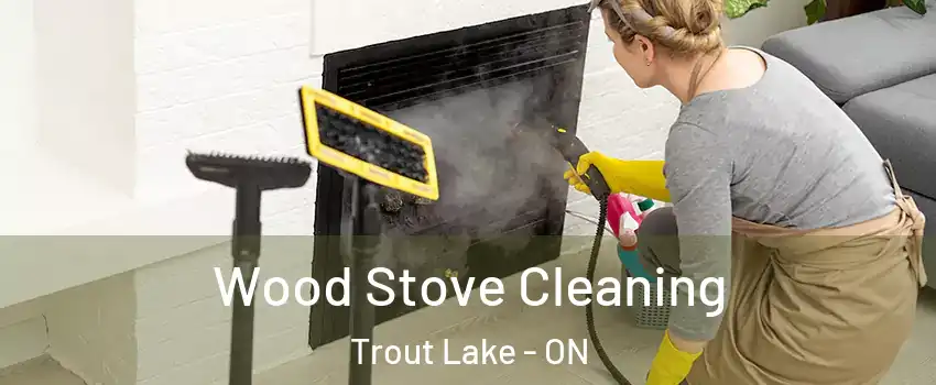  Wood Stove Cleaning Trout Lake - ON