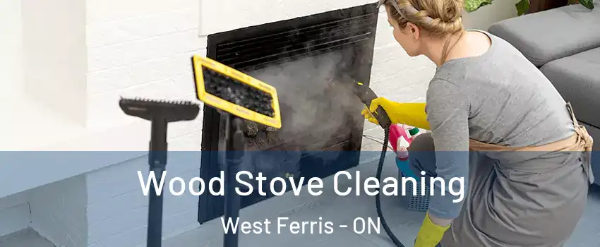  Wood Stove Cleaning West Ferris - ON
